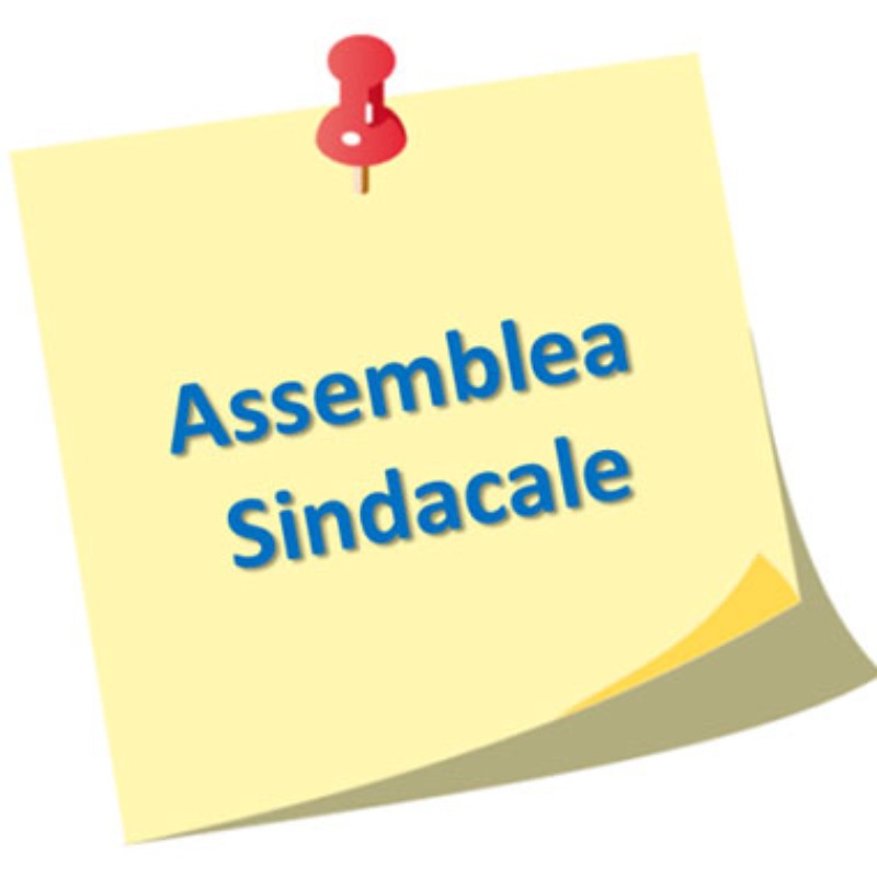 Assemblea SNALS - 13 Maggio, ore 18.00 - youtube